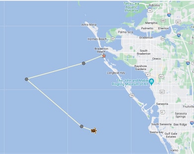 Turtle Map Page – Tour de Turtles 1